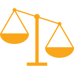 We compare policies across multiple insurers